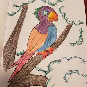 Meet your Posher, Falynn